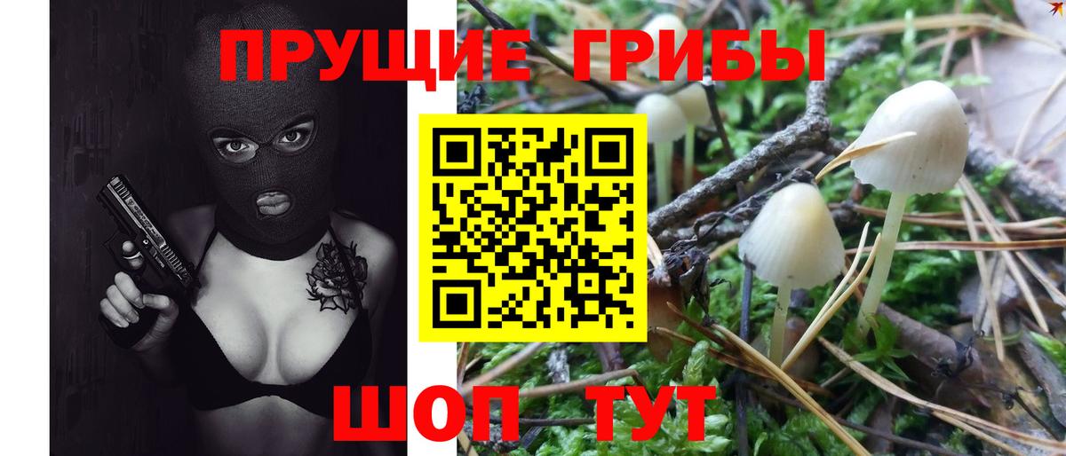 Галлюциногенные грибы GOLDEN TEACHER  Галлюциногенные грибы Magic Shrooms  Вход с VPN  Ефремов 